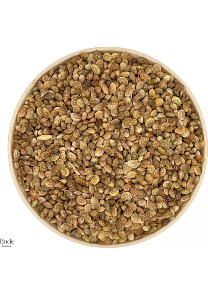 200 gr - Otu Korunga Tohumu fiyatları