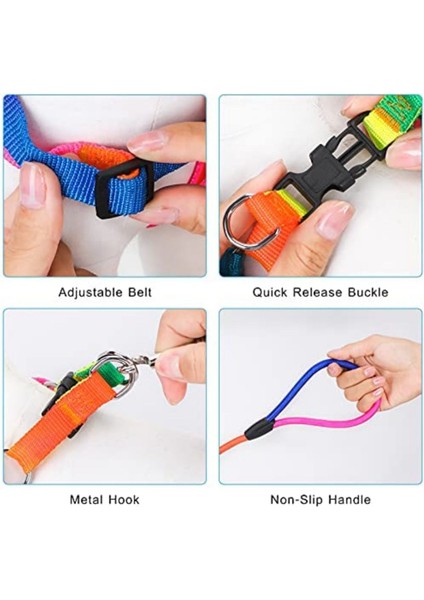Gökkuşağı Halatlı 0.8 mm Halat Köpek Takım Tasma Göğüs ve Gezdirme Tasması