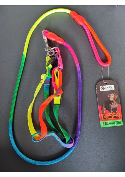 Gökkuşağı Halatlı 0.8 mm Halat Köpek Takım Tasma Göğüs ve Gezdirme Tasması