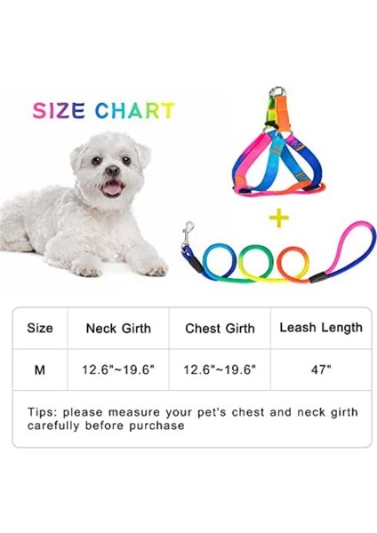 Gökkuşağı Halatlı 0.8 mm Halat Köpek Takım Tasma Göğüs ve Gezdirme Tasması
