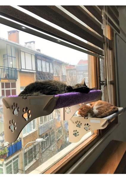Ahşap Kedi Yatağı