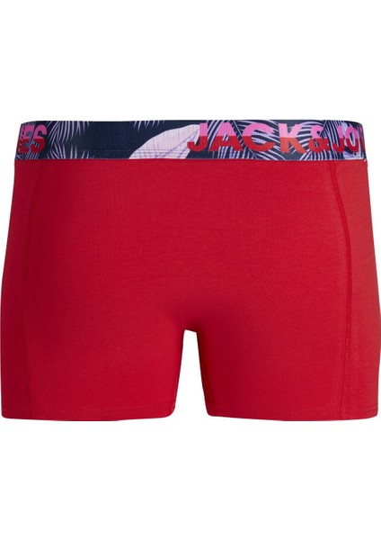 Erkek Boxer 12250331 12250331003 modelleri