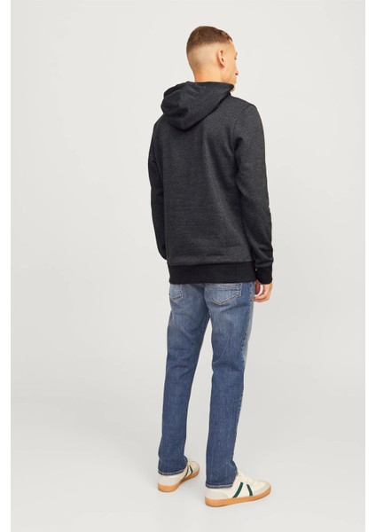 Alvis Kapüşonlu Erkek Sweat 12256848 12256848001 fiyatları