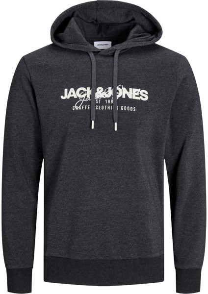 Alvis Kapüşonlu Erkek Sweat 12256848 12256848001 modelleri