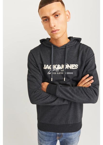 Alvis Kapüşonlu Erkek Sweat 12256848 12256848001 indirimleri