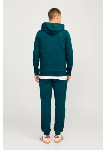 Alvis Kapüşonlu Erkek Sweat 12256848 12256848002 fiyatları