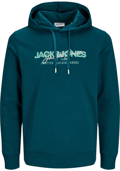 Alvis Kapüşonlu Erkek Sweat 12256848 12256848002 modelleri