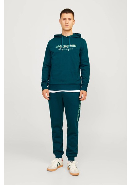 Alvis Kapüşonlu Erkek Sweat 12256848 12256848002 fırsatları