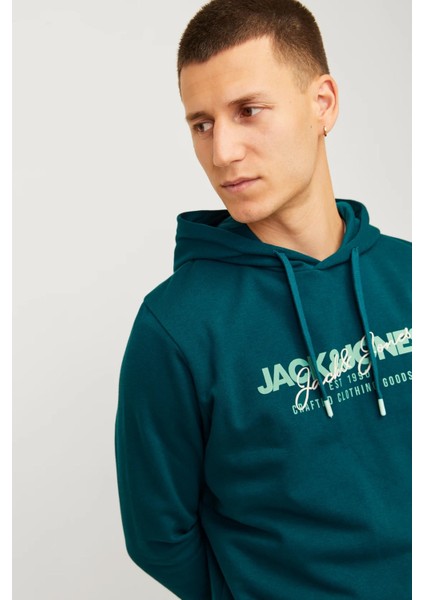 Alvis Kapüşonlu Erkek Sweat 12256848 12256848002 indirimleri