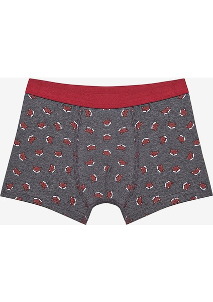 Erkek Çocuk Fun Fox 3lü Çok Renkli Boxer