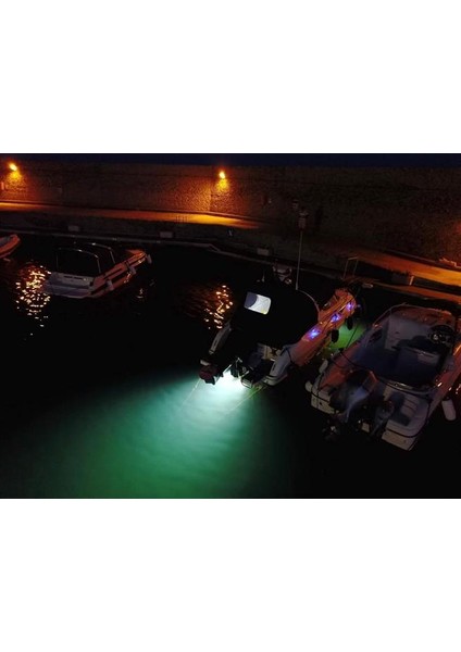 Bluefin LED Piranha P3 Su Altı Lambası 1610 Lümen Beyaz 12V