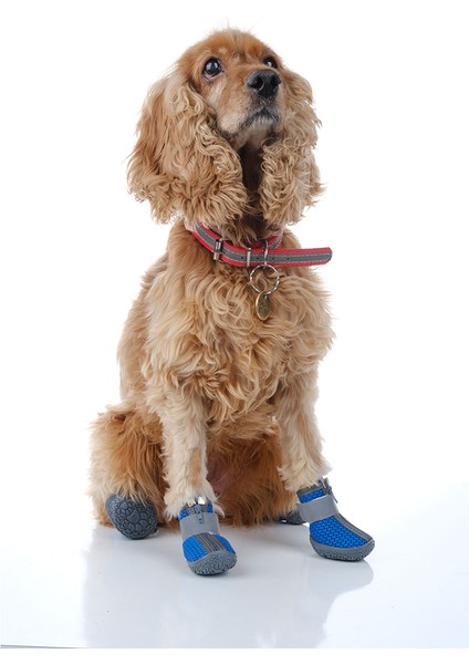 Köpek Ayakkabısı-Kaydırmaz Kauçuk Taban Köpek Ayakkabısı- Reflektörlü,fermuarlı Köpek Ayakkabısı