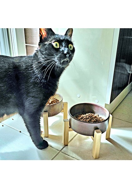 Ahşap Standlı Seramik Kedi Köpek Mama Kabı Çift Yönlü Kullanım 2 Farklı Yükseklik Dayanıklı Mamalık fiyatları