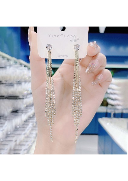 Üst Düzey ve Atmosferik Internet Ünlü Mizaç Küpeleri Avrupa ve Amerikan Modası Abartılı Elmas Taklidi Uzun Püskül Küpeler (Yurt Dışından)