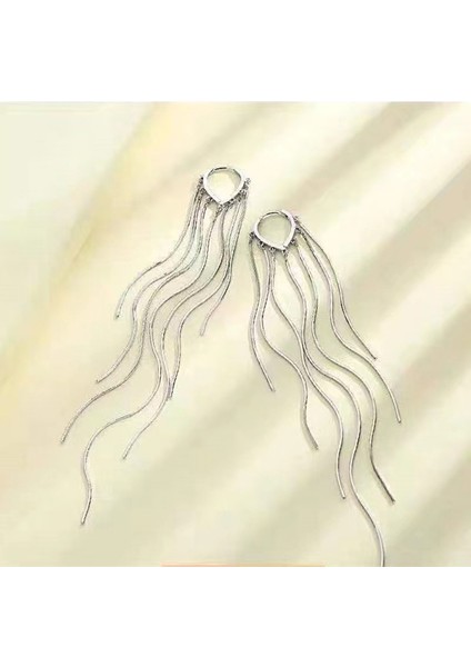 Yeni Zarif Küpeler, Popüler Internet Ünlü Küpeleri, Üst Düzey Küpeler, Kişiselleştirilmiş Moda Küpeler (Yurt Dışından)