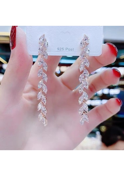 Kadınlar Için Moda Mizaç Uzun Püskül Yaz Popüler Küpeler Süper Parlak Üst Düzey Hafif Lüks Küpeler (Yurt Dışından)