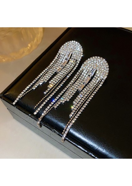 Üst Düzey ve Atmosferik Internet Ünlü Mizaç Küpeleri Avrupa ve Amerikan Modası Abartılı Elmas Taklidi Uzun Püskül Küpeler (Yurt Dışından)