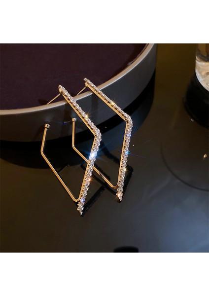 Üst Düzey ve Atmosferik Internet Ünlü Mizaç Küpeleri Avrupa ve Amerikan Modası Abartılı Elmas Taklidi Uzun Püskül Küpeler (Yurt Dışından)