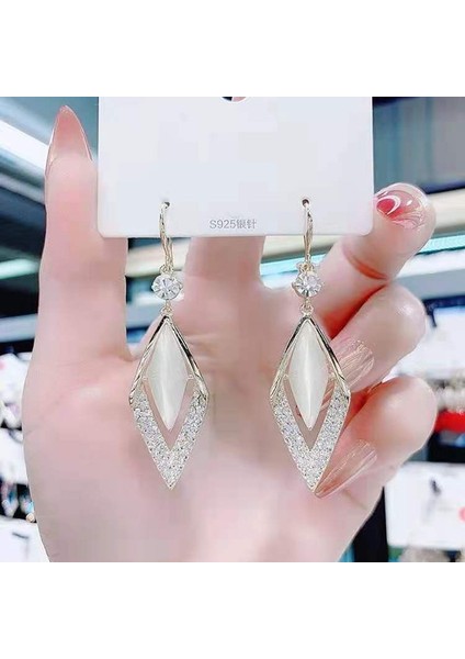 Moda Kedi Gözü Elmas Küpe Kadın Ilkbahar ve Yaz Ince Yeni Stil Işık Lüks High-End Küpe (Yurt Dışından)