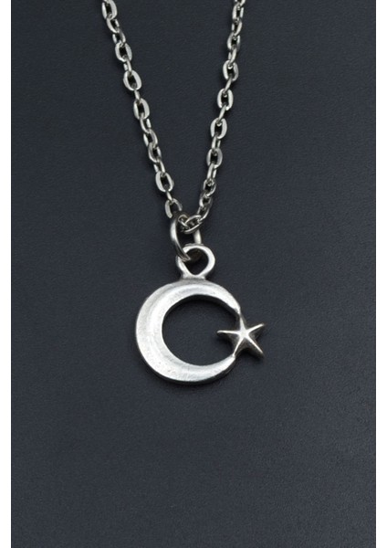 Minimal Ay Yıldız Gümüş Kaplama Unisex Düz Zincir Kolye kod 920 fiyatları
