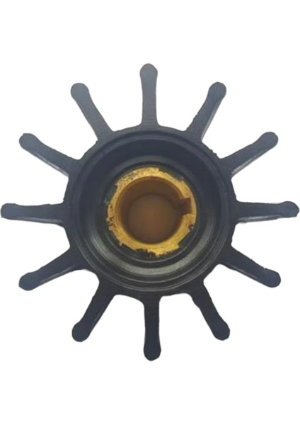 17000-K Impeller Lastiği