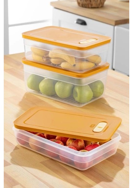 Tupper Model - Vakumlu - Mikrodalga Buzluk Saklama Kabı 2,5lt