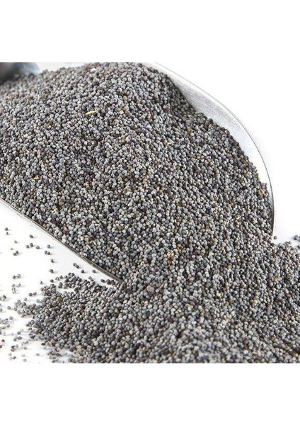 Haşhaş Mavi 100 gr