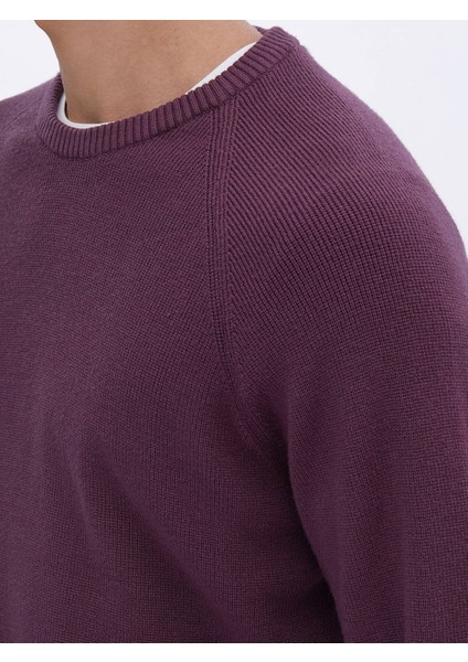 Mürdüm Bisiklet Yaka Desenli Triko fırsatları