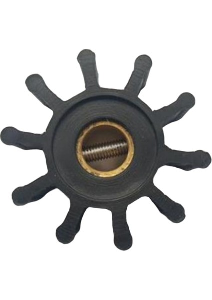 18653 Impeller Lastiği