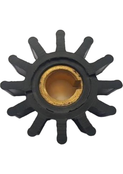 18838 Impeller Lastiği