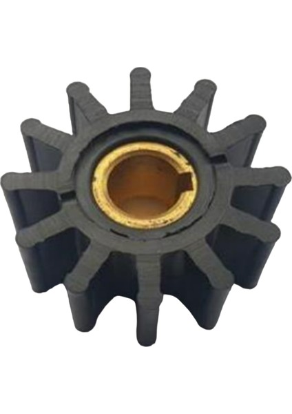 18838 Impeller Lastiği