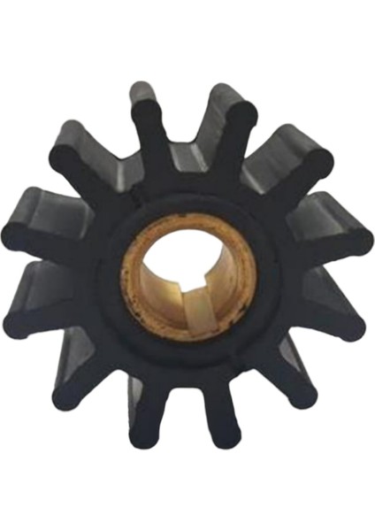 18838 Impeller Lastiği