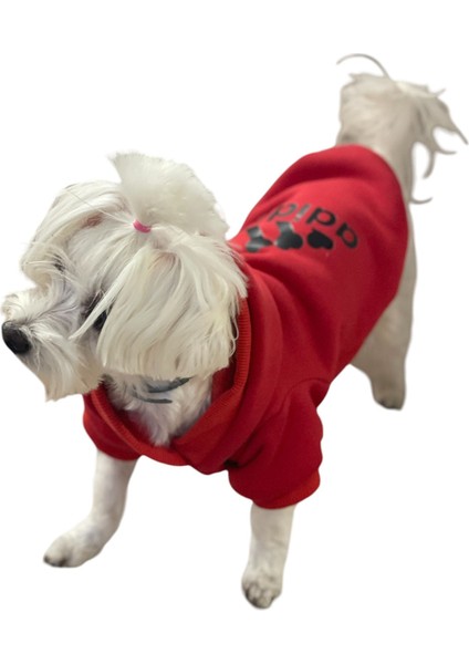 Kapişonlu Polar Sweatshirt Köpek ve Kedi Kıyafeti & Elbisesi