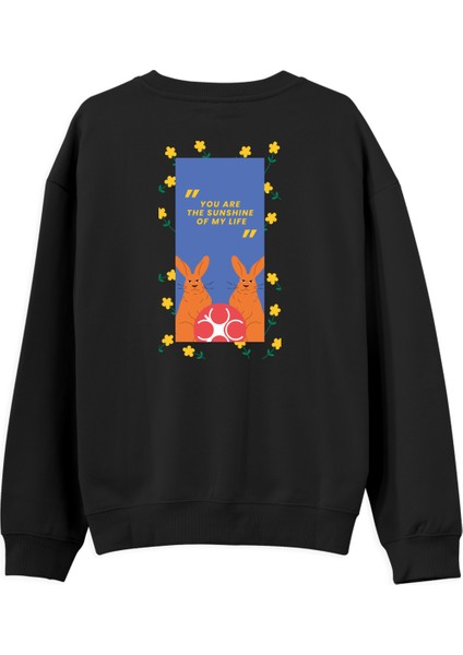 Rabbit Regular Sweatshirt fiyatları