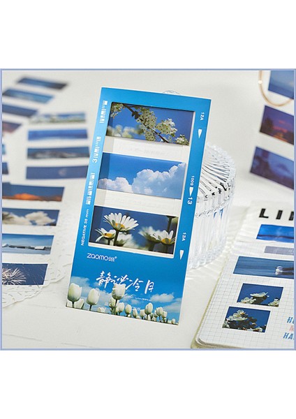 Nature Temalı 5 Farklı Dizayn Pet Index Sticker Post It Sticky Note GGK MI111