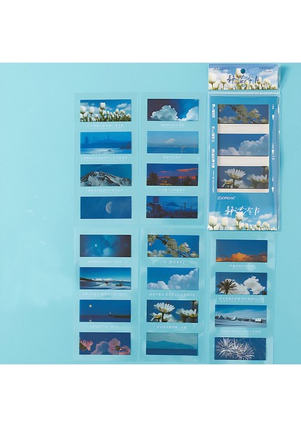 Nature Temalı 5 Farklı Dizayn Pet Index Sticker Post It Sticky Note GGK MI111