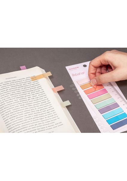 Ilkbahar 10 Renkli Cetvelli Şeffaf Pet Index Sticker Post It Sticky Note GGK P009