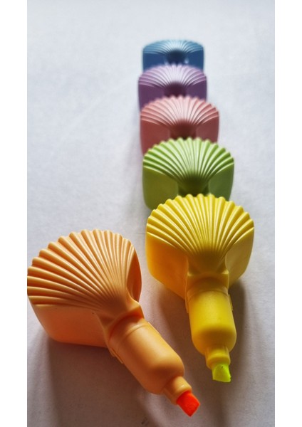 6'lı Midye - Istiridye Şekilli Deniz Kabuğu Pastel Fosforlu Kalem