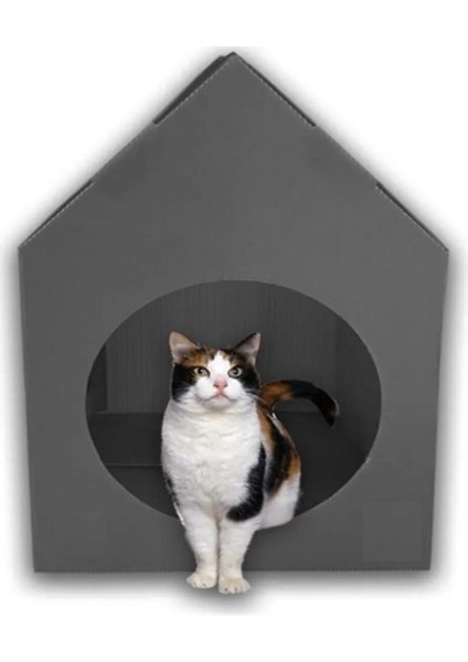 3 Adet - Plastik Pp Kedi Kulübesi Kedi Evi Taşınabilir Kedi Evi