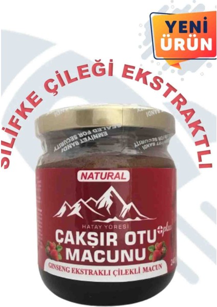 Hatay Yöresi Çilekli Çakşır Otu Macunu 240 gr