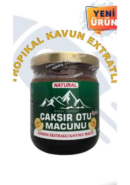 Hatay Yöresi Kavunlu Çakşır Otu Macunu 240 gr fiyatları