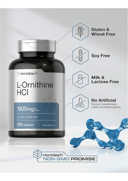 L Ornithine Hcl 1900 mg 120 Quick Release Capsul