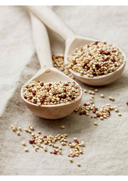 Kinoa Tohumu 125 gr fırsatları
