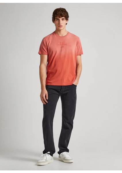 Bisiklet Yaka Degrade Kiremit Erkek T-Shirt PM509212 165 Crew