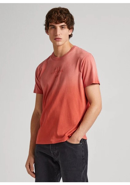 Bisiklet Yaka Degrade Kiremit Erkek T-Shirt PM509212 165 Crew fiyatları