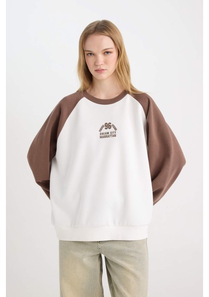 Coool Loose Fit Bisiklet Yaka Baskılı Renk Bloklu Sweatshirt D6669AX24WN fırsatları