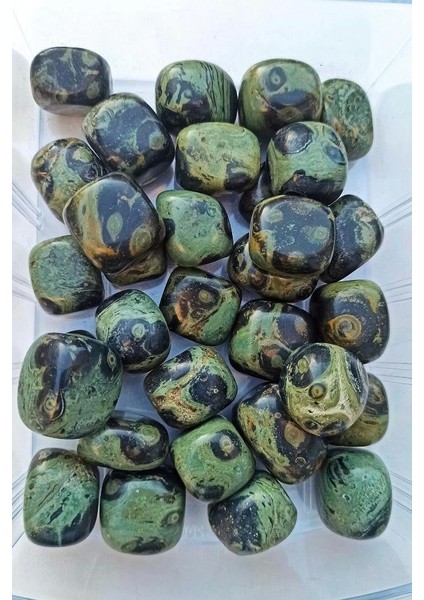 50 Gram Kambaba Jasper Tamburlu Parçalar 537