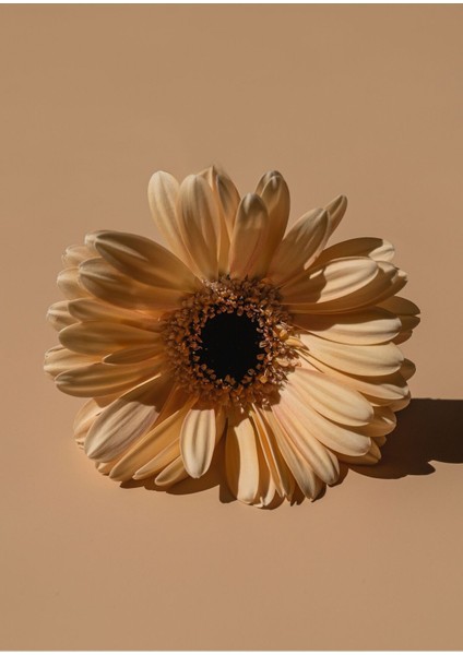 2'li Dikey Tablo fiyatları