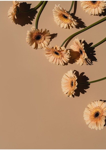 2'li Dikey Tablo modelleri