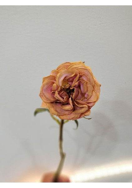 Pembe Gül Ve Çiçek Kombini 1 |Çerçeveli Cam Tablo 2li Dikey modelleri